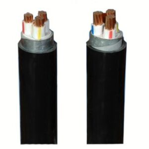 Cáp CXE/DATA 0.6/1kV