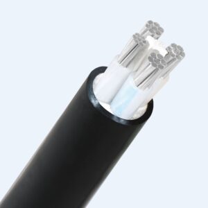 Cáp CVV 0.6/1kV