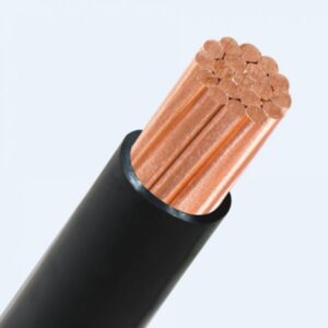 cáp cv 0.6/1kv