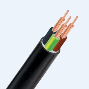 cáp cvv 300/500v