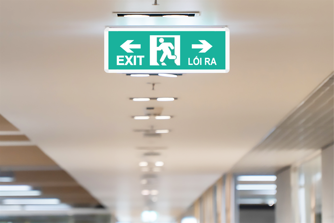 hệ thống chiếu sáng